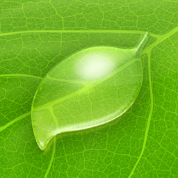 Diet Coda app icon