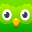 Duolingo app icon