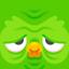 Duolingo - Language Lessons app icon
