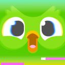 Duolingo - Language Lessons app icon