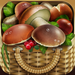 iMushroom app icon