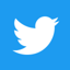 Twitter app icon