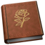 Chronories app icon
