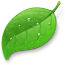 Coda app icon