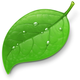 Coda app icon