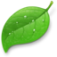 Coda app icon