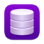 DBngin app icon