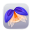 Elytra app icon