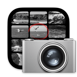 Image Capture app icon