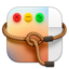 Lasso app icon