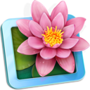 LilyView app icon