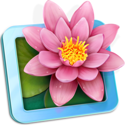LilyView app icon