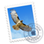 Mail app icon
