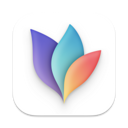 MindNode – Mind Map & Outline app icon