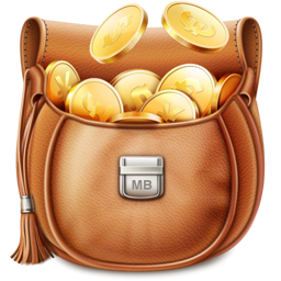 MoneyBag - Personal Finance Manager app icon