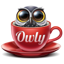 Owly - Display Sleep Prevention app icon