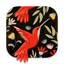 Patterned app icon