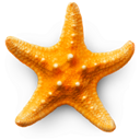 Sandy Beach 3D app icon