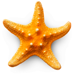 Sandy Beach 3D app icon