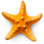 Sandy Beach 3D app icon
