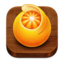 Squash app icon