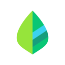 Mint app icon