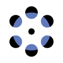 WristVideo app icon