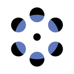 WristVideo app icon