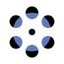 WristVideo app icon