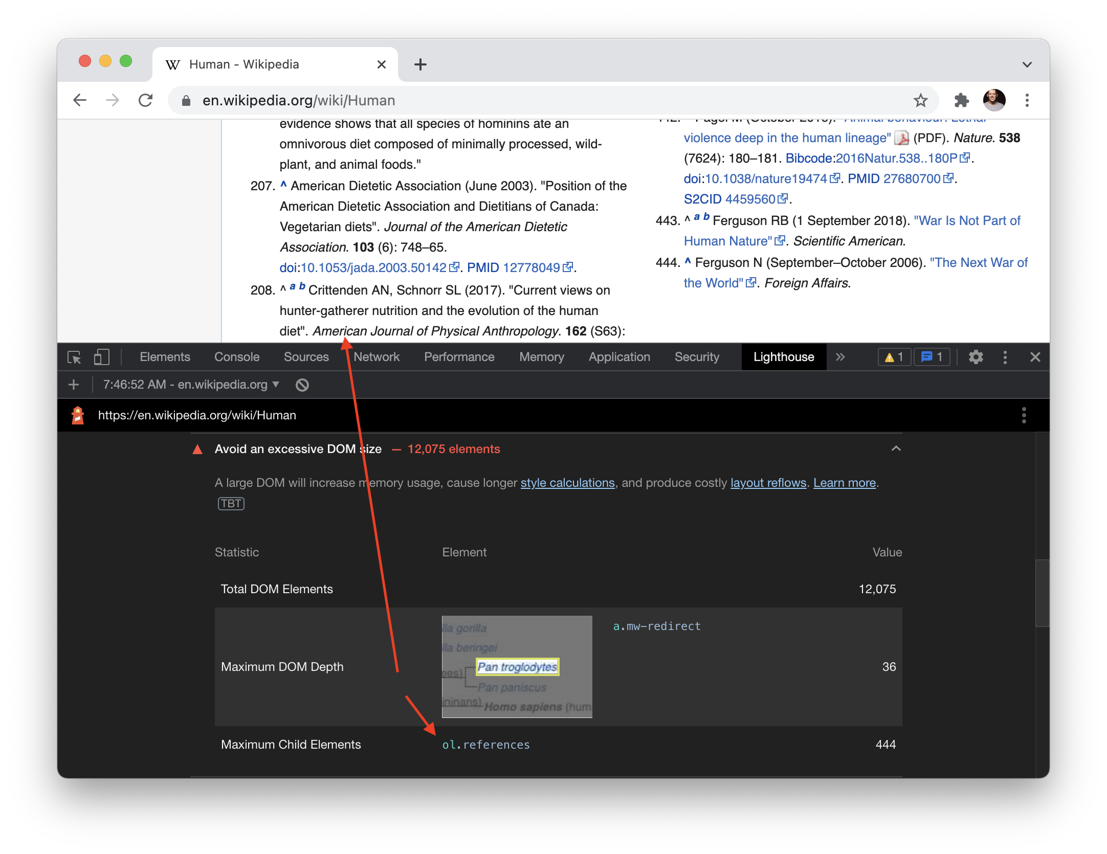 Screenshot of the Wikipedia entry for ‘Human’ with the Lighthouse dev tools open showing a warning about the number of DOM elements.