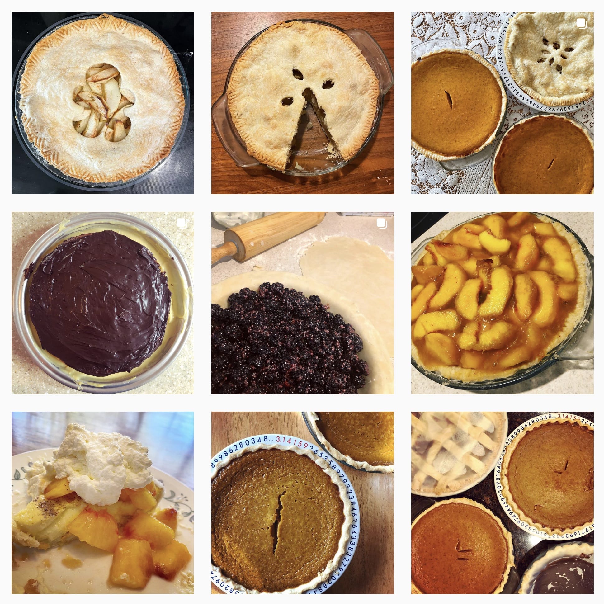 A collection of 9 photographs of different pies I’ve baked. Two are peach. One is blackberry. Three are pumpkin. One is apply. A few others are covered with crust making what kind of pie they are difficult to tell from the photograph alone.