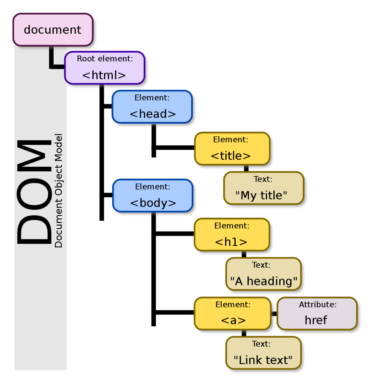Diagram of the document object model representing a tree hierarchy of html nodes.