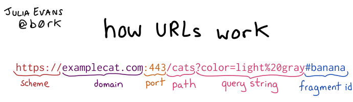 An anatomical breakdown of the parts of a URL, from scheme to domain, port, path, query string, and fragment ID.