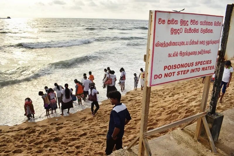 Photograph at a beach with a sign that says “POISONOUS SPECIES DO NOT STEP INTO WATER” and people are all standing in the surf.