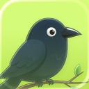 Crowfi app icon