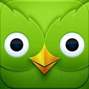 Duolingo app icon