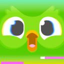 Duolingo - Language Lessons app icon