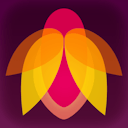 Flare Effects app icon