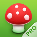 Pilze 123 app icon