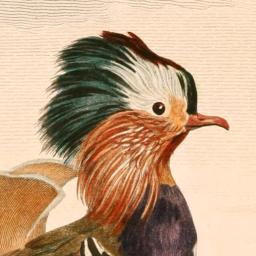 Art of Fauna: Cozy Puzzles app icon