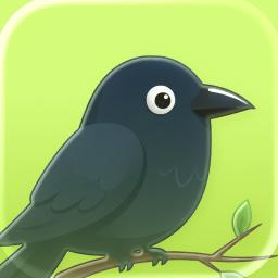 Crowfi app icon