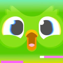 Duolingo - Language Lessons app icon
