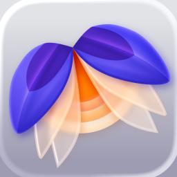 Elytra app icon