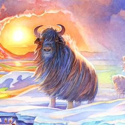 Evolution: Climate Board Game app icon