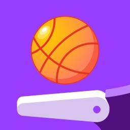 Flipper Dunk app icon