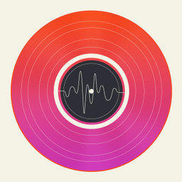 Vinyl Music and Video Files Manager app icon
