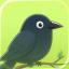 Crowfi app icon