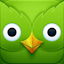 Duolingo app icon