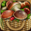 iMushroom app icon
