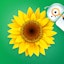 Plant Life - Science for Kids app icon
